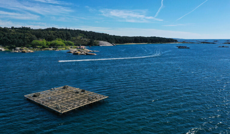 Arousa Tours