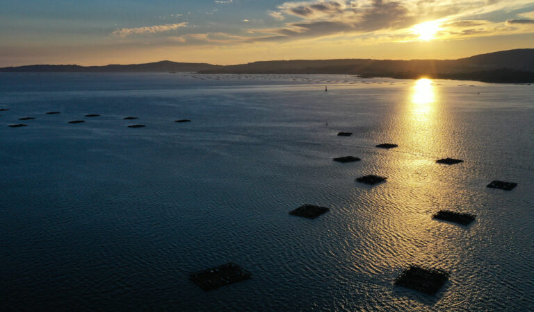 Arousa Tours