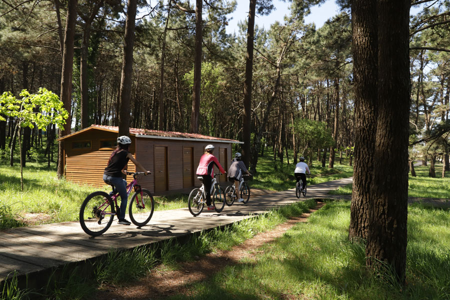 Ruta en Bici