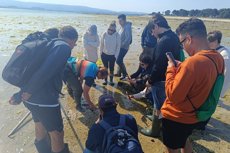 Taller de Marisqueo