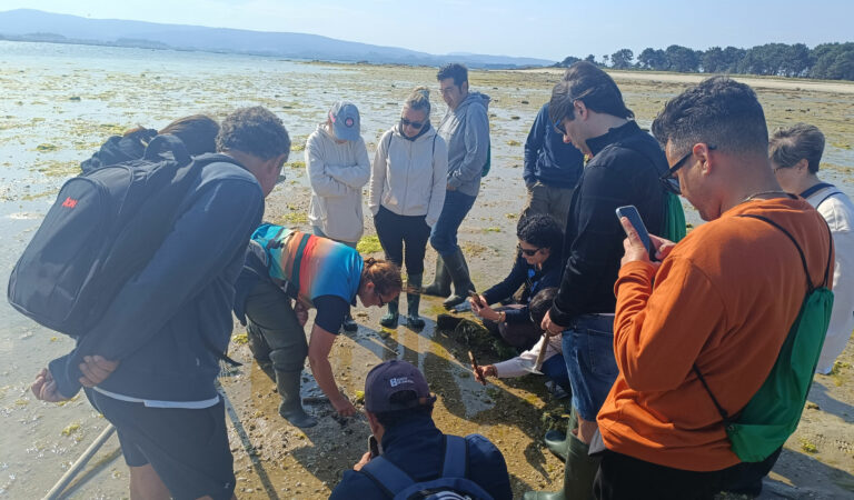 Taller de Marisqueo
