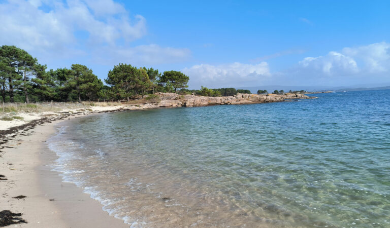 Taller de Marisqueo